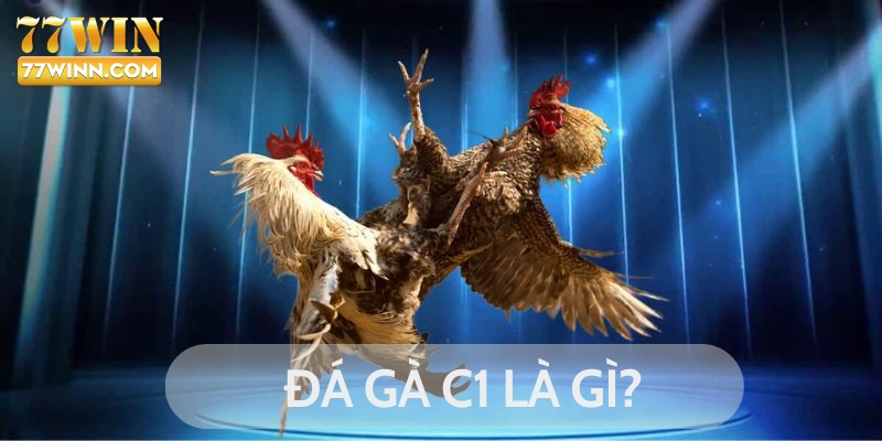 Đá Gà C1 Là Gì? Các Lưu Ý Cần Biết Khi Tham Gia Đá Gà C1 Đá gà C1 là gì?