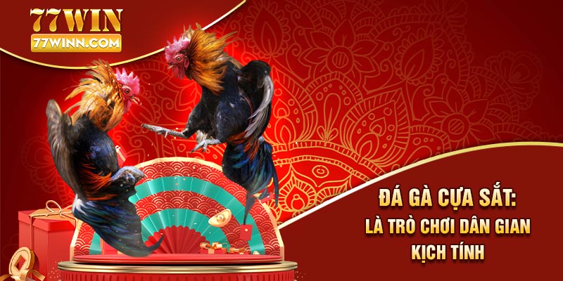Đá Gà Cựa Sắt: Loại Hình Chọi Gà Được Yêu Thích Nhất 2024 Đá gà cựa sắt là trò chơi dân gian kịch tính