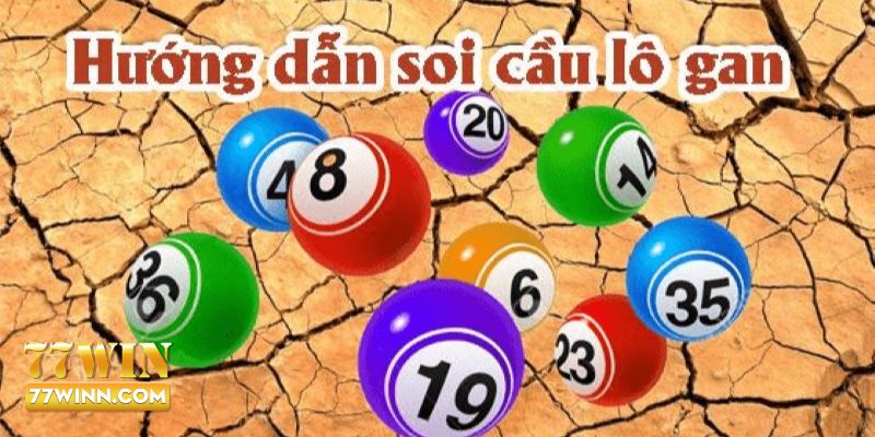 Lô Gan Là Gì? 77WIN Chia Sẻ Bí Quyết Bắt Lô Đề Hiệu Quả Một số lưu ý dành cho cược thủ chơi xổ số