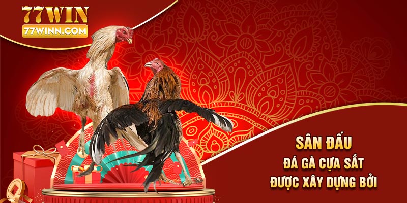 Đá Gà Cựa Sắt: Loại Hình Chọi Gà Được Yêu Thích Nhất 2024 Sân đấu đá gà cựa sắt được xây dựng bởi