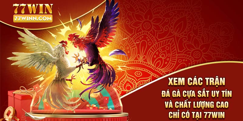 Đá Gà Cựa Sắt: Loại Hình Chọi Gà Được Yêu Thích Nhất 2024 Xem các trận gà cựa sắt uy tín và chất lượng cao chỉ có tại 77win