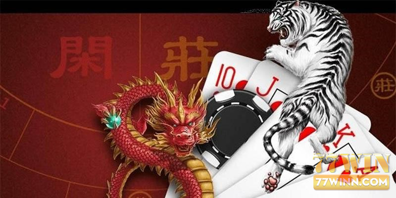 Cách Bắt Cầu Rồng Hổ Bất Bại Hot Nhất Hiện Nay Cách bắt được cầu rồng hổ hay nhất