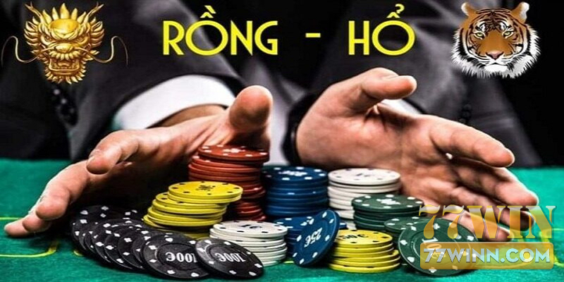 Cách Bắt Cầu Rồng Hổ Bất Bại Hot Nhất Hiện Nay Những trang web chất lượng để soi cầu rồng hổ