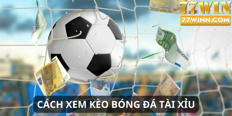 Chia Sẻ Cách Đọc Kèo Bóng Đá Chi Tiết Cho Người Mới bắt đầu Đọc kèo bóng đá tài xỉu hiệu quả