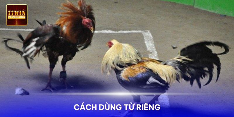 Thuật Ngữ Đá Gà Mà Sư Kê Sử Dụng Phổ Biến Nhất Giới nuôi gà chọi chuyên nghiệp có cách dùng từ riêng