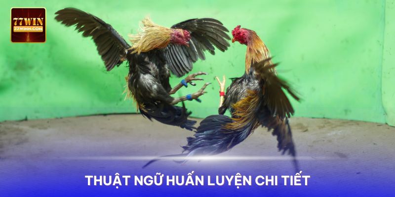 Thuật Ngữ Đá Gà Mà Sư Kê Sử Dụng Phổ Biến Nhất Thuật ngữ đá gà trong huấn luyện rất chi tiết và cụ thể