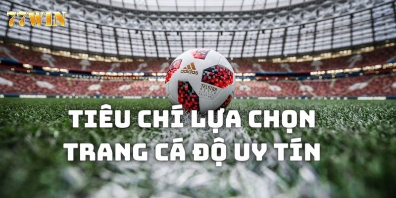 trang cá độ bóng đá Những đặc điểm giúp nhận diện trang cá độ bóng đá chất lượng nhất
