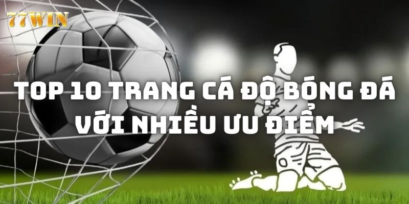 trang cá độ bóng đá Top 10 trang cá độ bóng đá có nhiều ưu điểm nổi bật